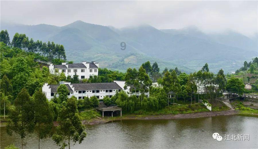 格斗巅峰大作战