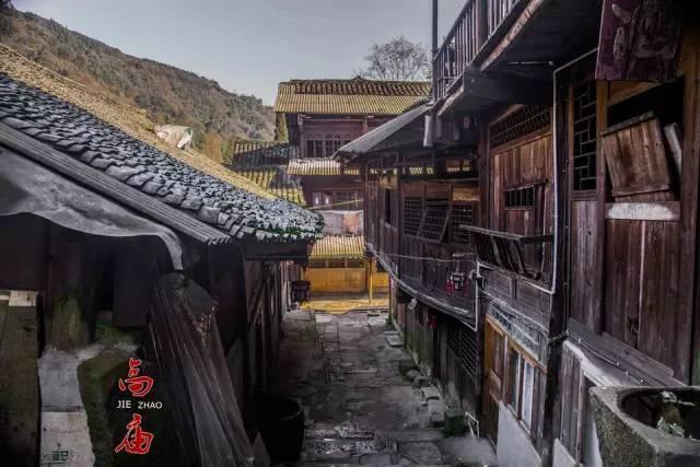 昆明市2023年花卉产业主题劳动竞赛总结交流会暨通报表扬会在呈贡召开